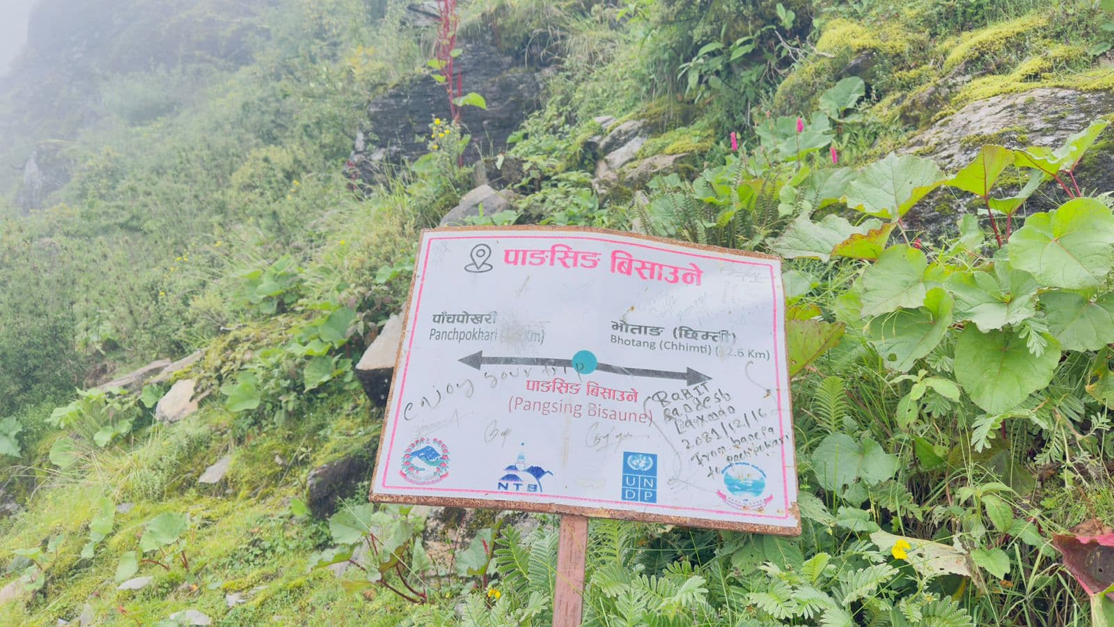 Pansing Bisaune | Panchpokhari Trek