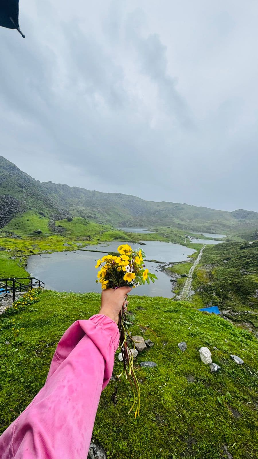 Beautiful Flowers During Monsoon at Panchpokhari