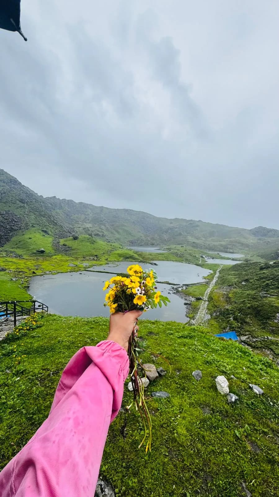 Beautiful Flowers During Monsoon at Panch pokhari